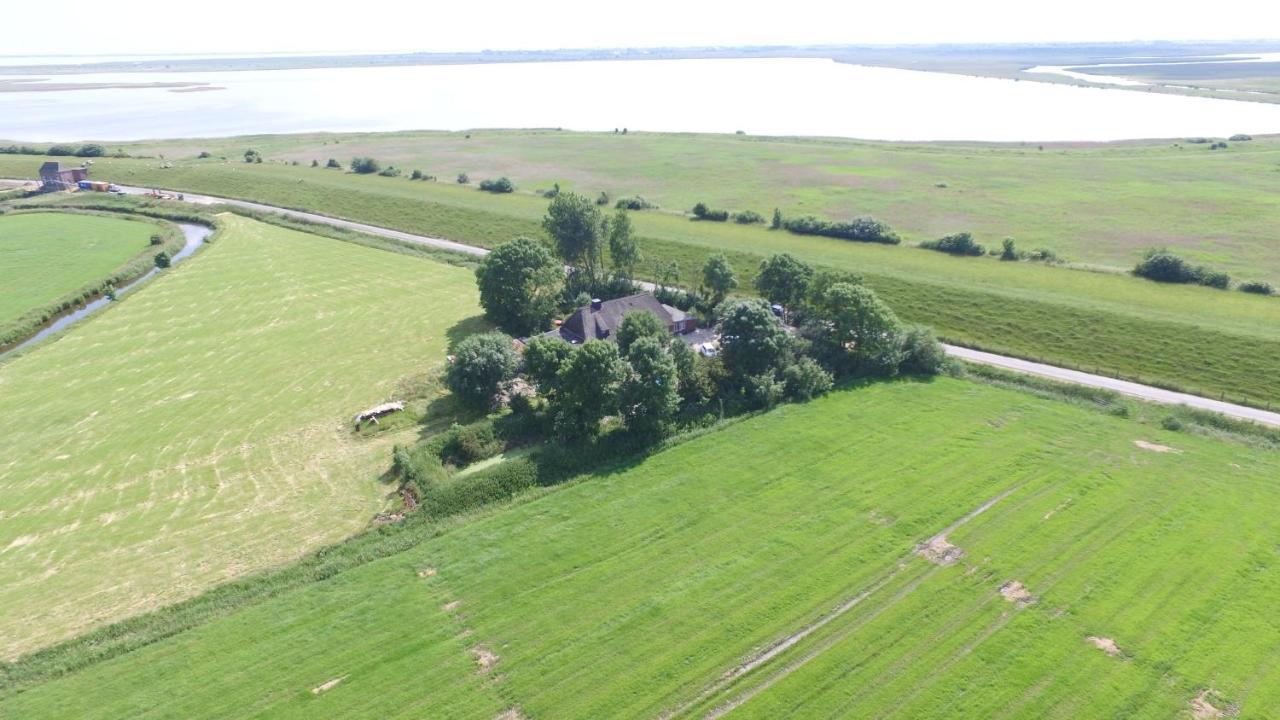 Ferienwohnung Diekblick - Kleiner Deichhof Hattstedtermarsch Exterior photo